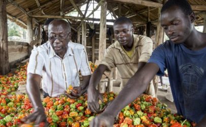Change the Future of Migration – Invest in Food Security and Rural Development