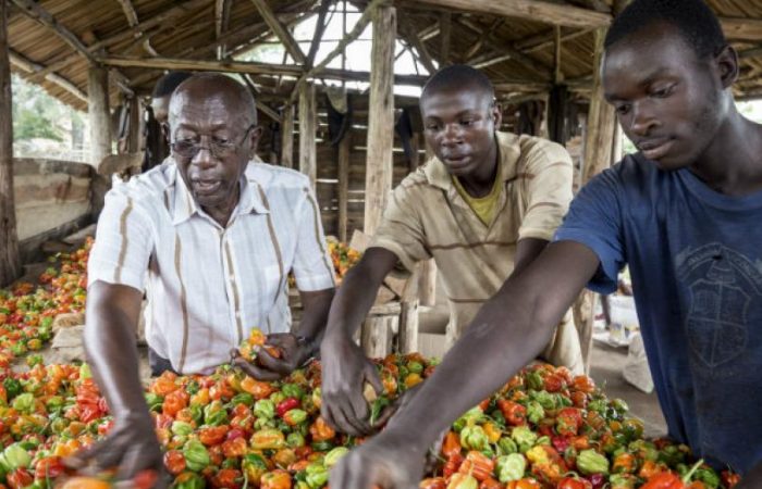 Change the Future of Migration – Invest in Food Security and Rural Development