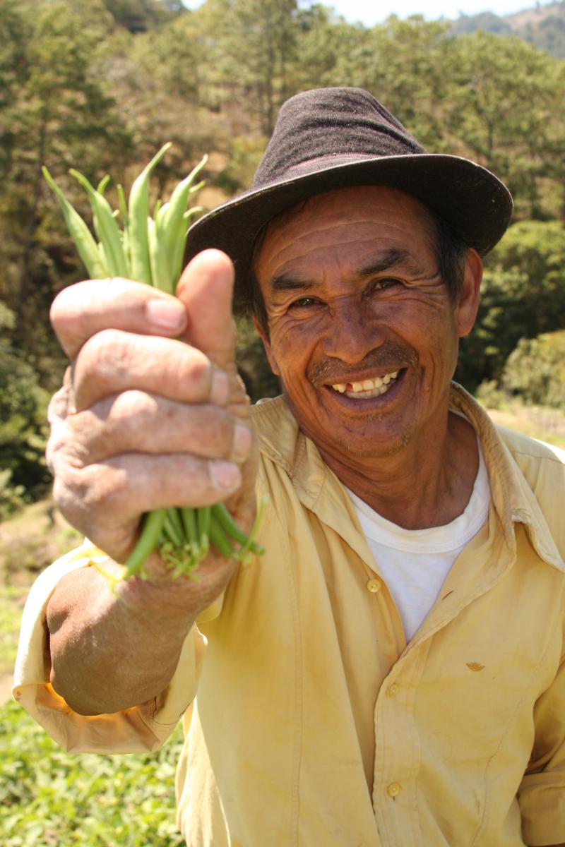 New platform to link Latin American smallholders with global supply chains