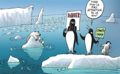 We must all remain critical and combative at COP22
