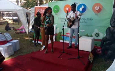 Hivos Southern Africa Shines at HIFA