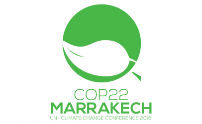 Action 24 Convenes COPS 22 Feedback Meeting