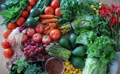 Hivos Recognises Zambian Government Efforts in Promoting Sustainable Diets