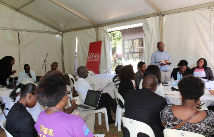 Hivos Southern Africa Conducts MFS Reflection Event