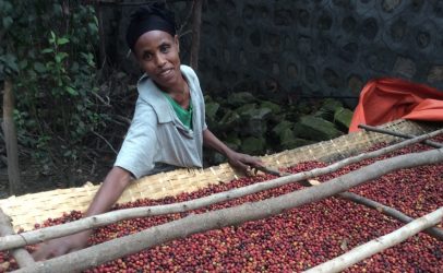 Empowering women through bio-digesters