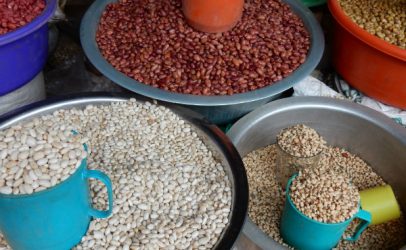 ‘Open source’ seeds key to addressing hunger