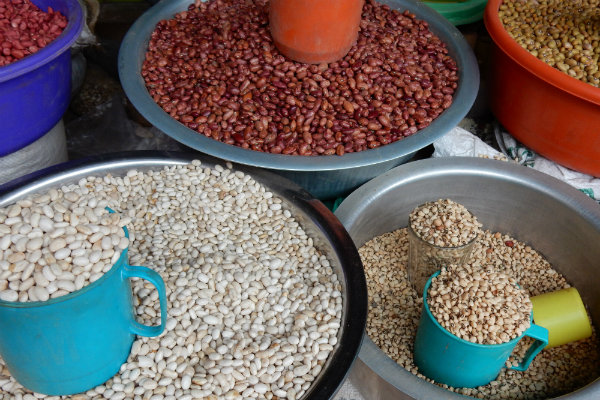 ‘Open source’ seeds key to addressing hunger