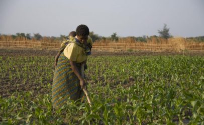 Women, land ownership and food security in Uganda