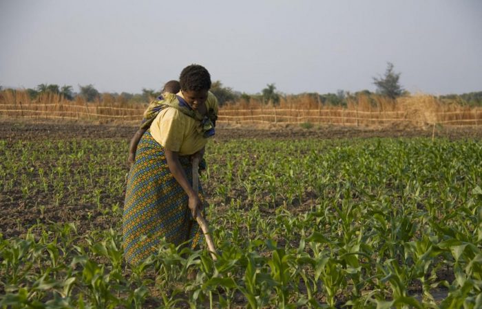 Women, land ownership and food security in Uganda