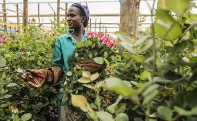 Flower farm workers are yet to benefit from the sector despite increased revenues