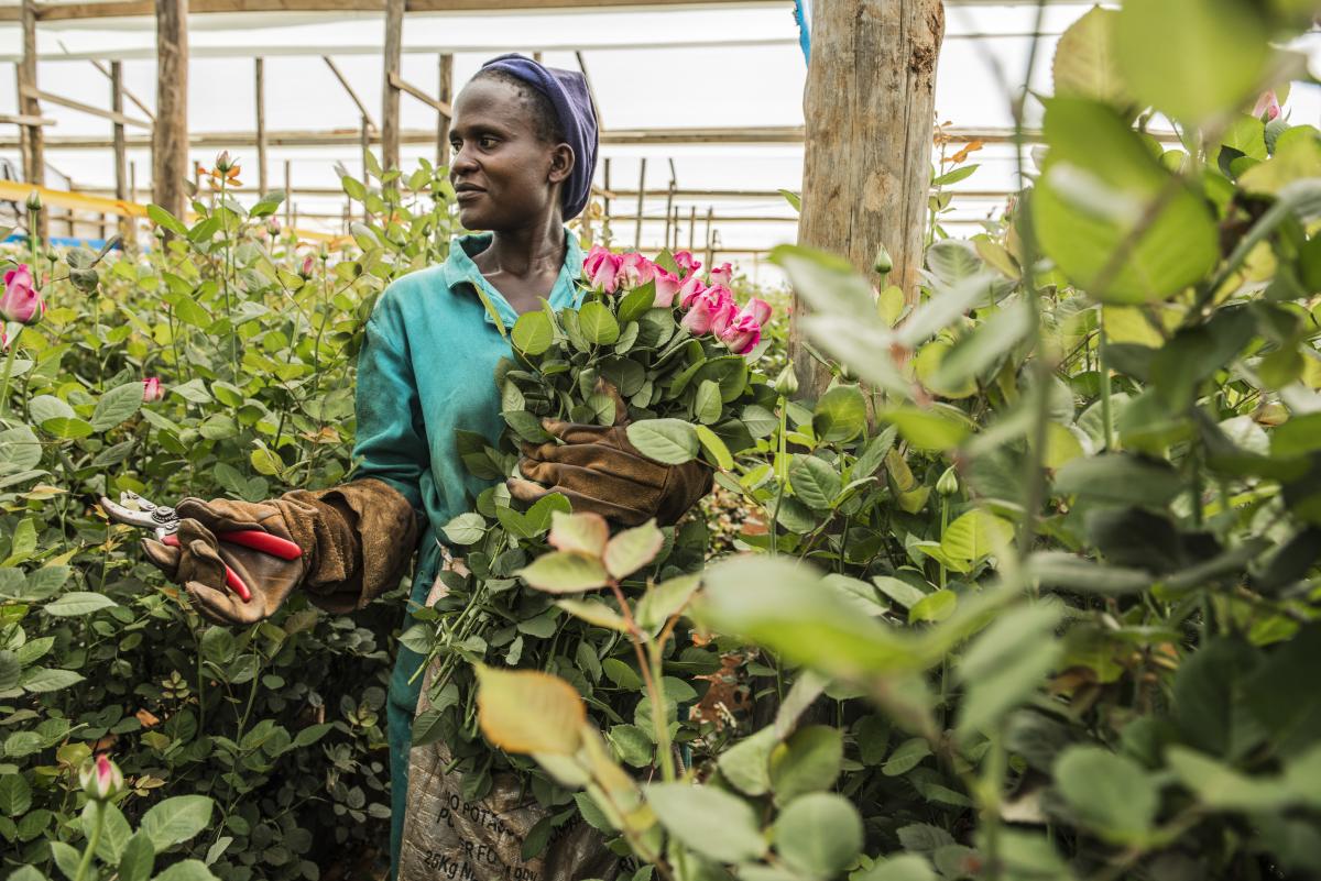 Flower farm workers are yet to benefit from the sector despite increased revenues