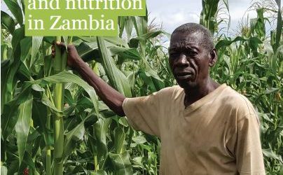 Rethink Required to Boost Nutritional Value and Sustainability of Zambia’s Food System