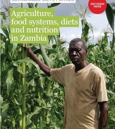 Rethink Required to Boost Nutritional Value and Sustainability of Zambia’s Food System