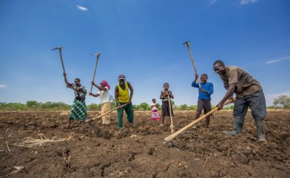 Young People As Drivers of Sustainable Foods in Zambia