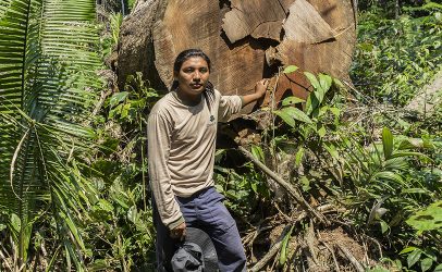 All Eyes on the Amazon: the future of protecting forests in Brazil
