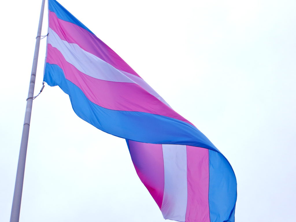 Activista trans Bessy Watson asesinada en Honduras
