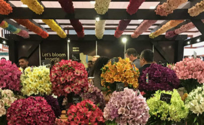 CSR Africa portal blooms at the Kenyan flower fair