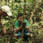 protecting the Amazon rainforest