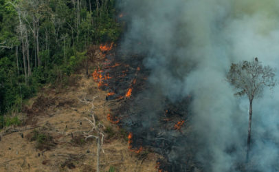 Amazon fires threaten indigenous communities, biodiversity and global climate