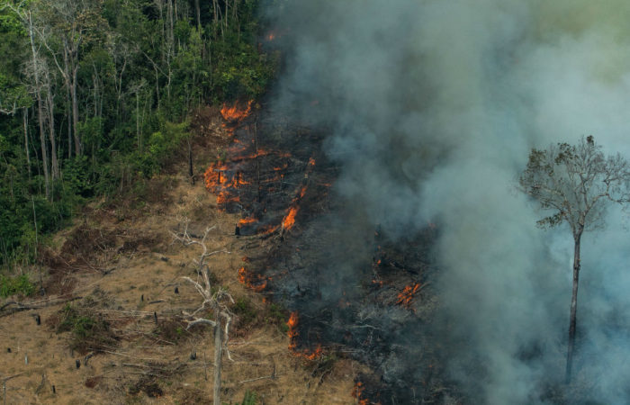 Amazon fires threaten indigenous communities, biodiversity and global climate
