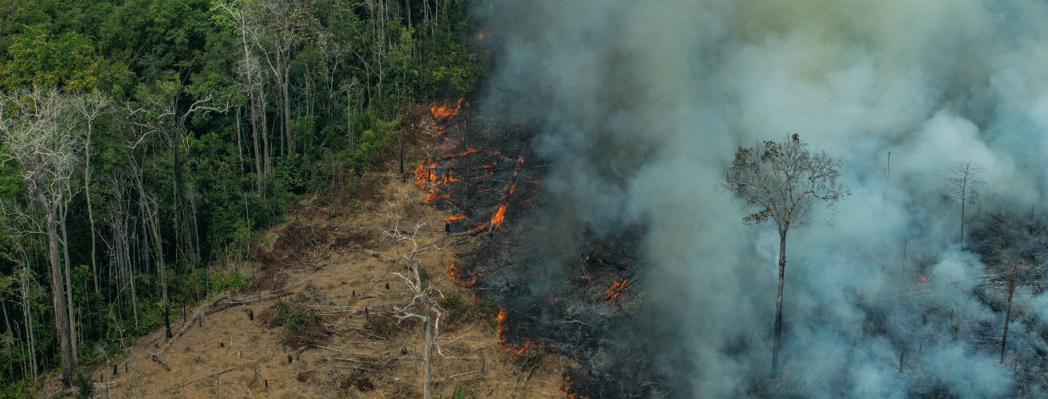 El fuego en la Amazonía amenaza las comunidades indígenas, la biodiversidad y el clima del planeta