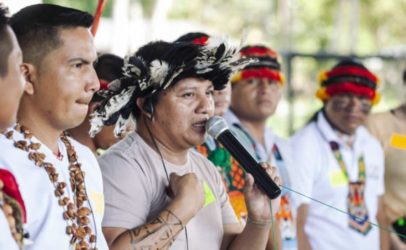 COVID-19: An additional threat to an already endangered Amazon