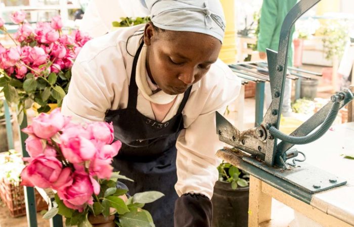 A manual for strengthening women’s leadership in the horticultural sector
