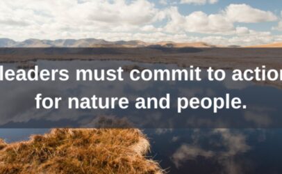Hivos and fellow organizations call for bold action to halt and reverse biodiversity loss