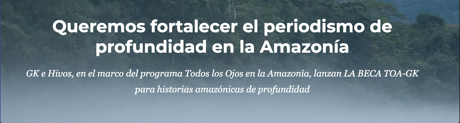 Hivos y GK lanzan becas para historias amazónicas