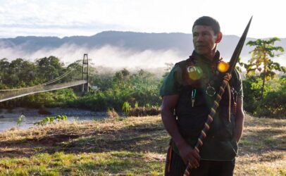Defending the Amazon rainforest through land monitoring