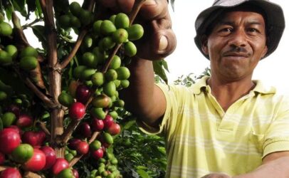 New 2020 Coffee Barometer: Coffee companies must start proving their sustainability impact