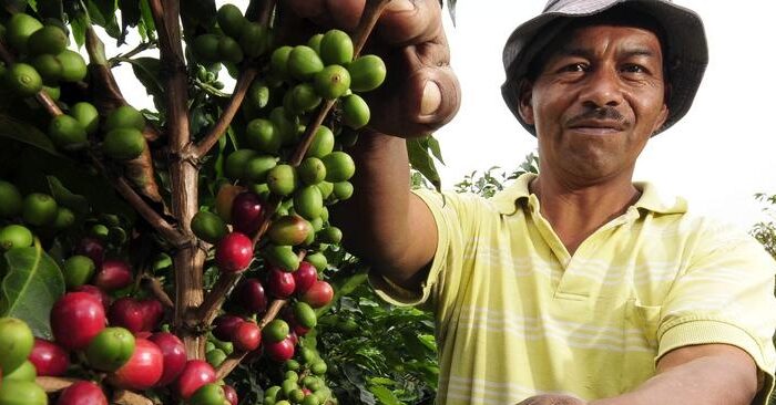 New 2020 Coffee Barometer: Coffee companies must start proving their sustainability impact
