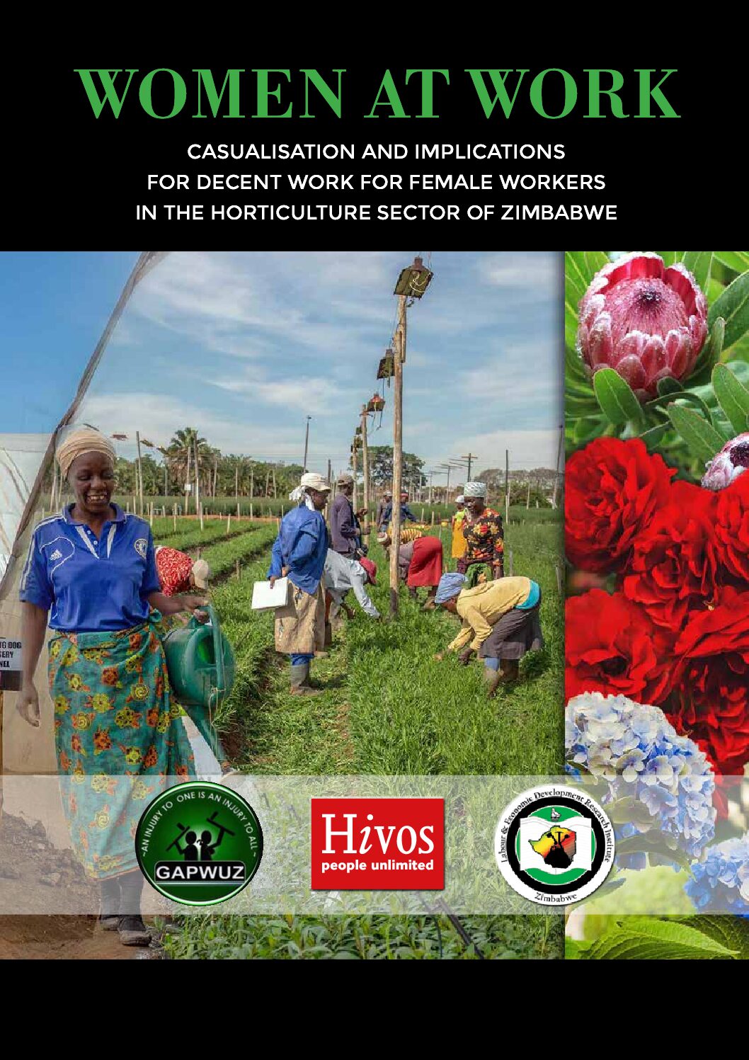 Casualization and implications for decent work for female workers in the horticulture sector of Zimbabwe