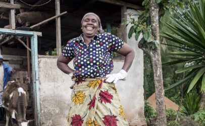 A Year of Progress for Decentralised Renewable Energy