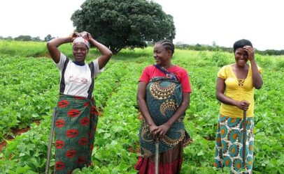 Gender-based violence risk spikes on farms