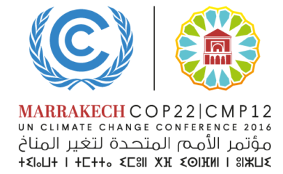 Strides towards 100% renewable energy at COP22