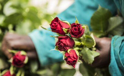 AWCFS: All is not lost for women in lucrative flower business
