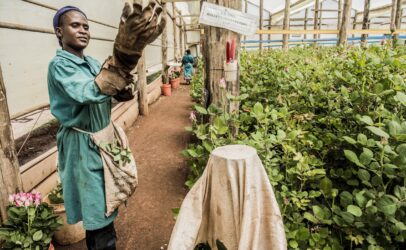 Campaign leaves major footprints in transforming the welfare of women working in floriculture sector
