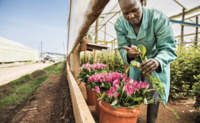 Promoting women rights in flower farms is good for business