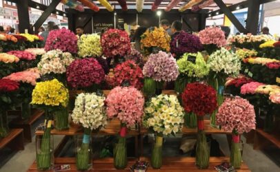 CSR Africa: A tool to improve the flower farms’ social performance and rights of workers