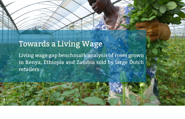 Towards a living wage – Gap benchmark analysis of roses grown in Kenya, Ethiopia and Zambia