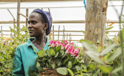 Blog: Flower farm workers are yet to benefit from the sector despite increased revenues