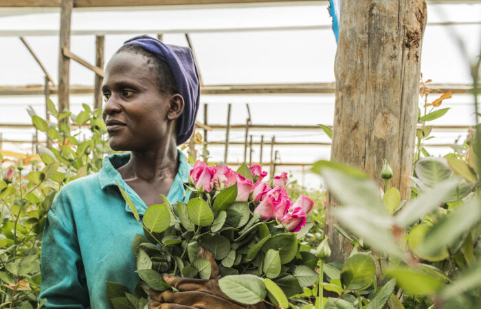 Blog: Flower farm workers are yet to benefit from the sector despite increased revenues