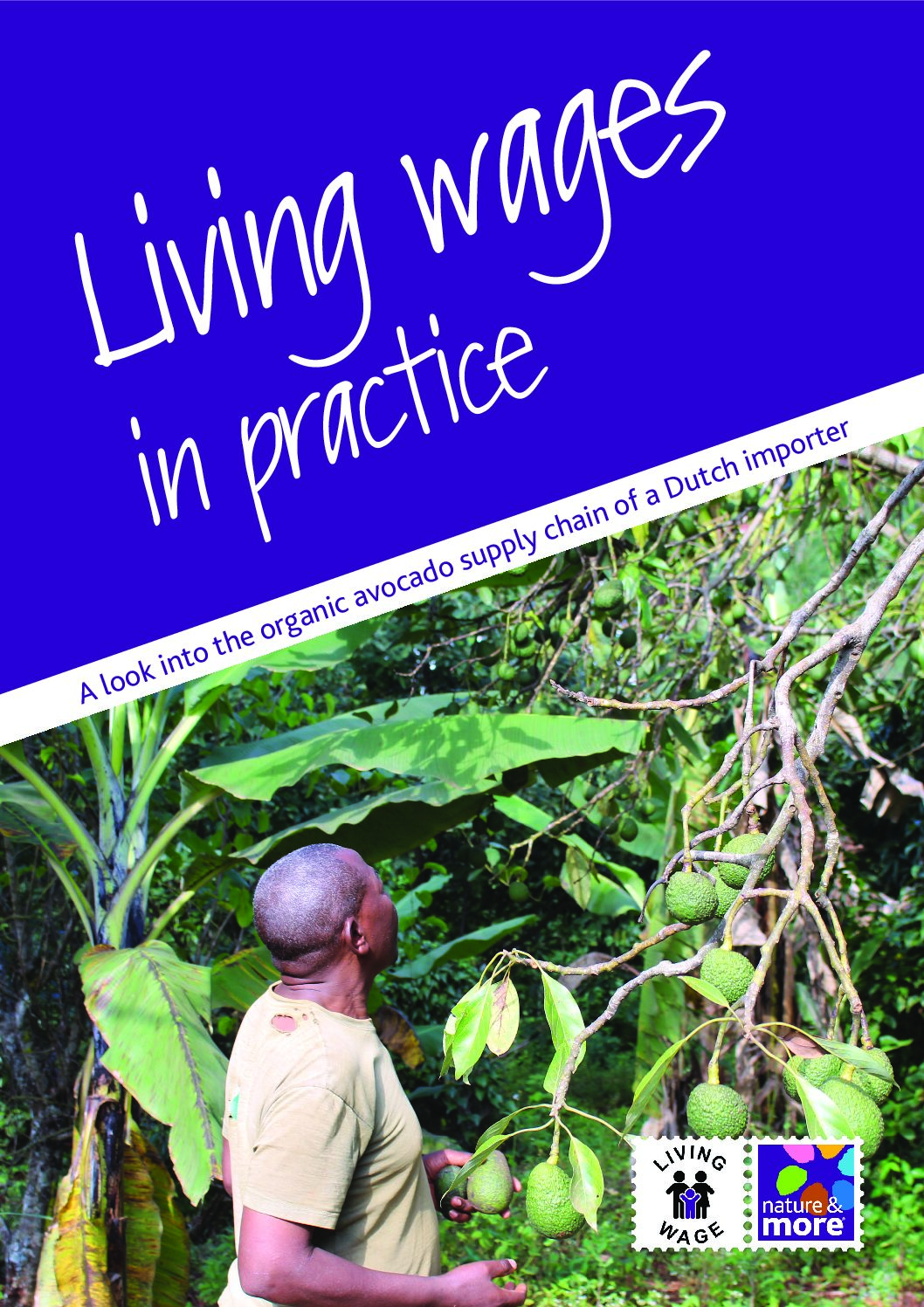 Living wages in practice