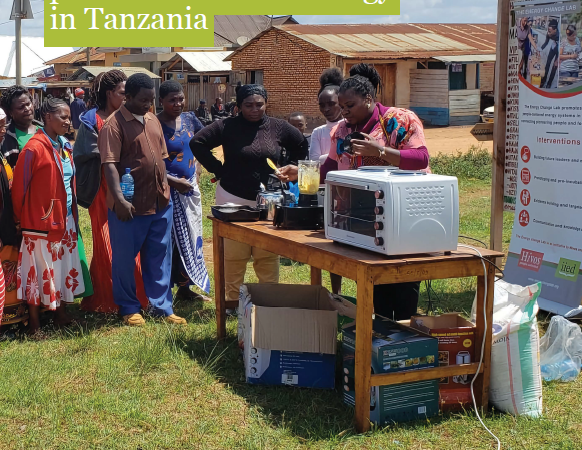 Small business, big demand: facilitating finance for productive uses of energy in Tanzania