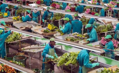 Blog: Workplace policies that promote gender equality and fight HIV/AIDS