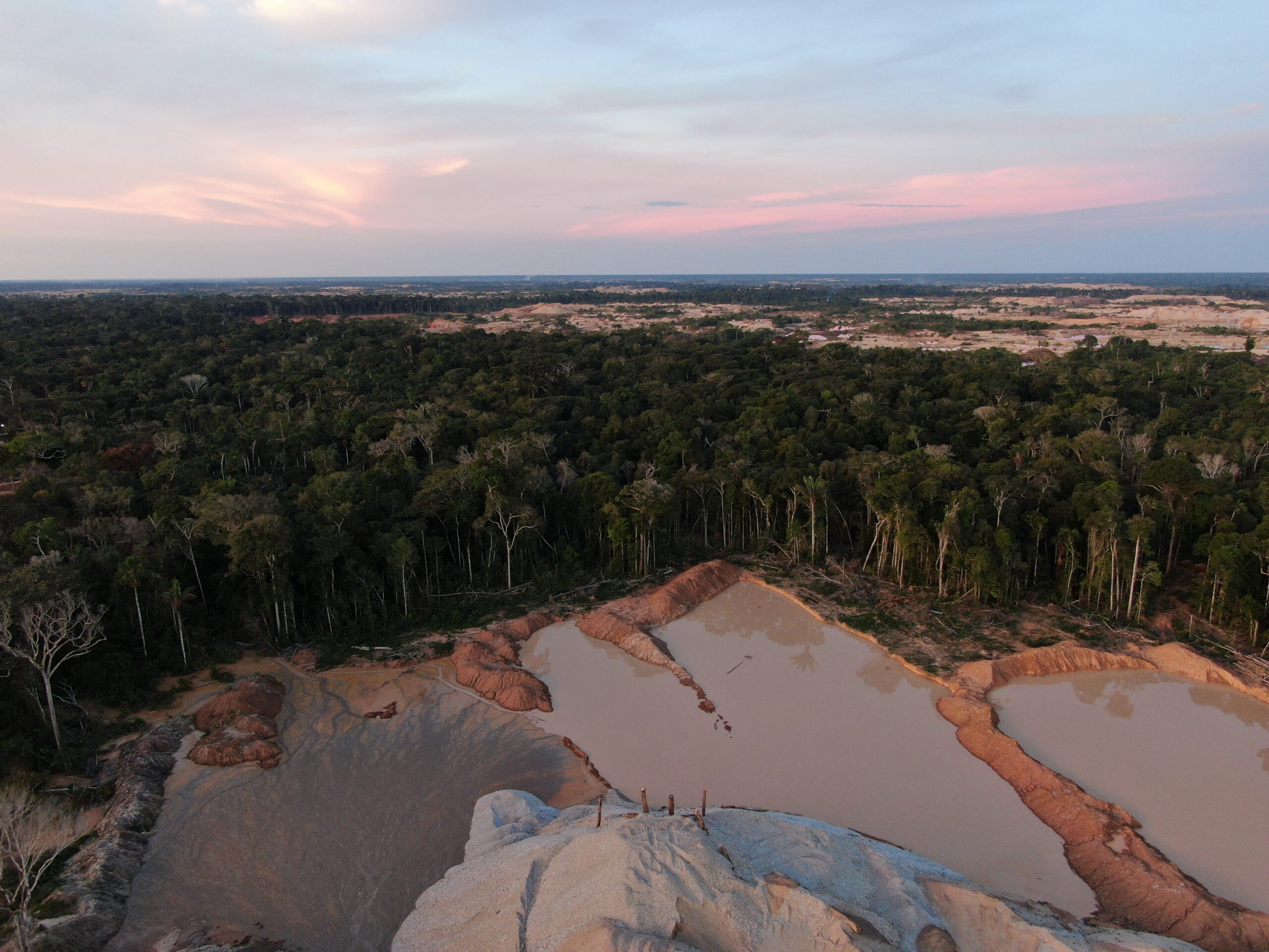 Consulta pública al informe del Panel Científico por el Amazonas