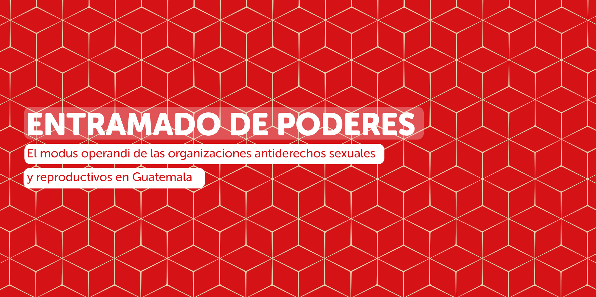 Entramado de poderes- El modus operandi de las organizaciones antiderechos sexuales y reproductivos en Guatemala
