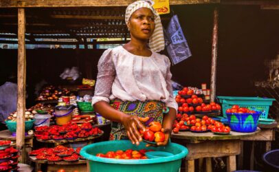 Sustainable food stories fellowship