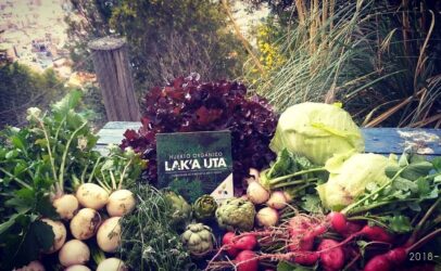 Making urban food policy a reality in Bolivia